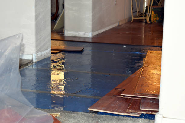 Professional Burst Pipe Cleanup technician working in Grandin, ND