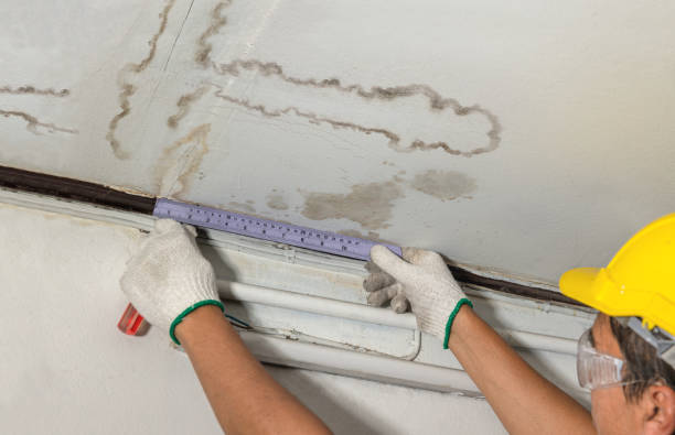 Reliable Burst Pipe Cleanup contractor in Grandin, ND by Water Damage Irwin